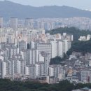 남지연합정보 이미지