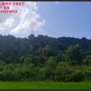 주생면 정충마을 이미지