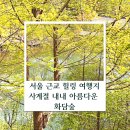 서울 근교 힐링 여행지 추천✨ 사계절 내내 아름다운 화담숲, 화담숲 단풍부터 눈꽃까지 “여기가 정말...
