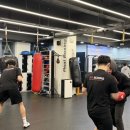 김포시유도체육관 | 김포 구래동 정통 복싱으로 직장인 스트레스 타파 🥊 단기 다이어트 성공 꿀팁까지!