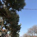 스테이 더 딜라잇 이미지