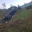 대장천생태하천 이미지