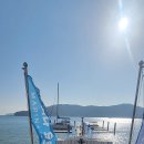 지세포로 이미지