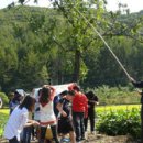 달천초교 매현분교 이미지