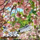 아라메길(2-1) 이미지