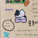 1955 | 변치 않을 나의 꿈 너야