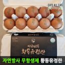 이츠 이미지