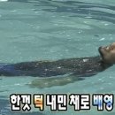 상경스포츠센터 네이버블로그