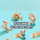 스튜디오다이브 이미지