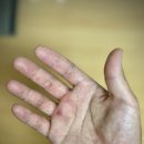 맥길이네 | 풀업챌린지 15회차 - 풀업 늘리는 최고의 방법, 맥길 풀업 후기