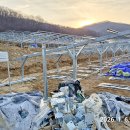 태양약품 이미지