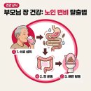 부모님 노인 변비 증상 심해질 때 진짜 중요한 대처법은… 이미지