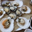 속초팔도전복해물뚝배기 이미지