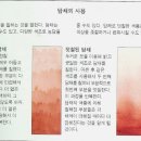 담채 이미지