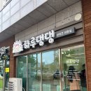 세종애견미용 | 세종 보람동 애견미용 하루댕댕