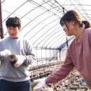 동혁농장 이미지