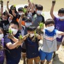 진위초등학교 이미지