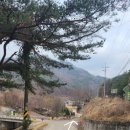 젤루느린달팽이 이미지