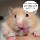 냠냠냠 이미지