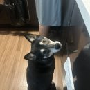 한*흠