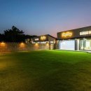 데이도그 이미지