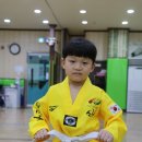 신흥 태권도 이미지