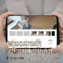 보기도기 | 강아지홈캠 무료 공기계 펫캠 도기보기 사용후기(광고X)