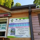 맹종죽테마공원 네이버블로그