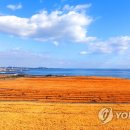 유일목장 이미지