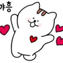 헬로미유 이미지