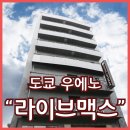 거기라이브 | 도쿄 우에노역 가성비 숙소추천 호텔 라이브맥스 우에노 에키마에 내돈내산 솔직후기 위치좋음