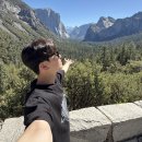 국립공원 추천 장소, 추천 코스, 치즈케이크 팩토리 후기, 필즈커피, 요세미티 국립공원 투어 추천)