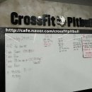 크로스핏 핏불 이미지