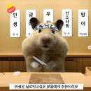 선장축구장 | 방어에 돈 백만원 쓴 사람의, 연말 방어 결산_2025년