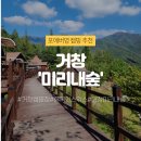 한국의 스위스 거창 국민여가캠핑장 미리내숲 후기