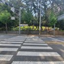 창원 가음정동 고분군 이미지