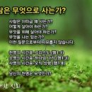신의실천 네이버블로그