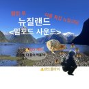 평지경로식당 | 뉴질랜드 밀포드 사운드에서 하루 꽉꽉 채워 놀기(1)/주의점 주차장 완벽 준비 필독!