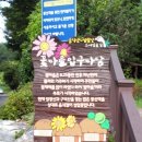 출출해가 이미지