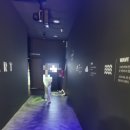 미노길 | 온빛포레스트 미디어아트관 [다녀온후기]강릉의 새로운 빛 '온빛포레스트' 미디어아트관 방문기