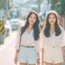 안타코리아 세계일보