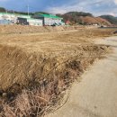 내촌농협하나로마트 이미지