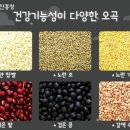정월 대보름에먹는 오곡밥의 유래 이미지