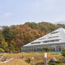 양구수목원_1 이미지