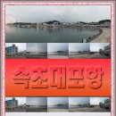 씨젠콘도텔 이미지