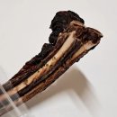 봉구네 수제육포 | 봉구를 위한 강아지 수제간식 캥거루 갈비뼈 유니노스에서 주문했어요~