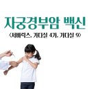 자궁경부암 백신 : 서바릭스, 가다실 4가, 가다실 9가