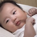 (일상)행복은 가까이에