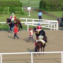 탑포인트 이미지