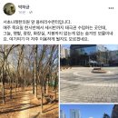 서초나래한의원 네이버블로그